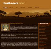 Tiger Safari Bandhavgarh